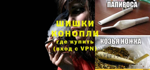 дмт Надым