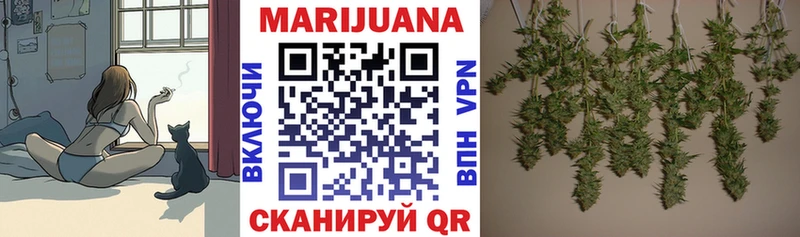 цена Железногорск-Илимский МАРИХУАНА SATIVA & INDICA